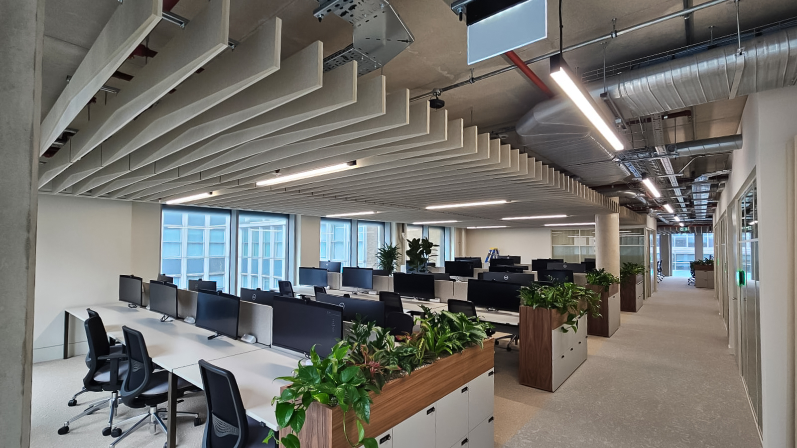 Open plan office shared workspace with acoustic baffles on the ceiling